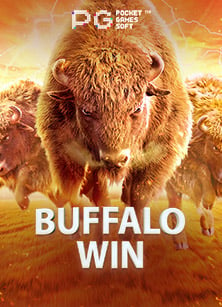 สนุกไปกับสล็อต xo 8855เว็บ 123vip ที่เปิดโอกาสชนะสูง